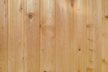 arka plan sayfası çam Kişilik Kuşet