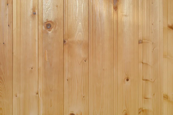 Fundo de beliches de pinho colocados verticalmente — Fotografia de Stock