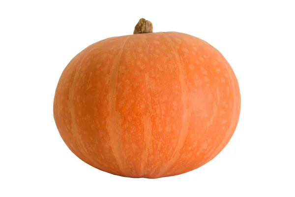 Foto Naranja calabaza madura sobre un fondo blanco — Foto de Stock