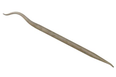 küçük el kazayağı beyaz bir arka plan üzerinde