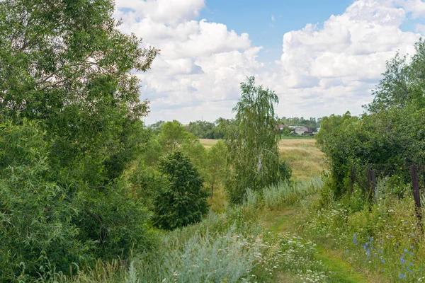 Sommer ländliche Landschaft mit weißen dicken Wolken — Stockfoto