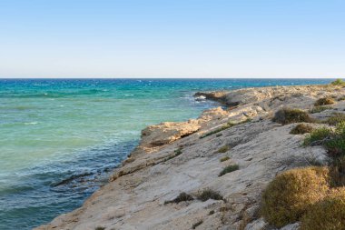 nadir bitkiler ve deniz dalgaları ile kayalık sahil