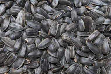 yüzeyi kuru siyah Ayçekirdeği yığını