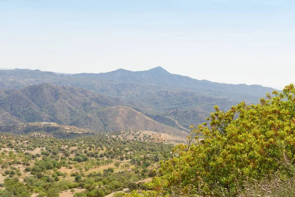 Laderas boscosas de la montaña Troodos en Chipre —  Fotos de Stock