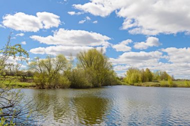 Kıyı ve mavi gökyüzü bulutlu ağaçta bahar gölet