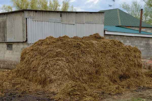 Stapel van mest voor een schuur — Stockfoto