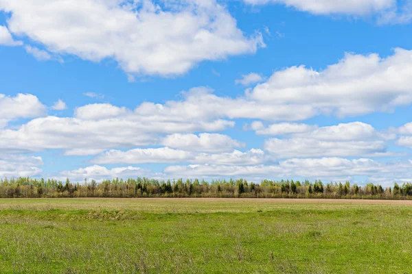 Våren landskap med fält, skog och moln på himlen — Stockfoto