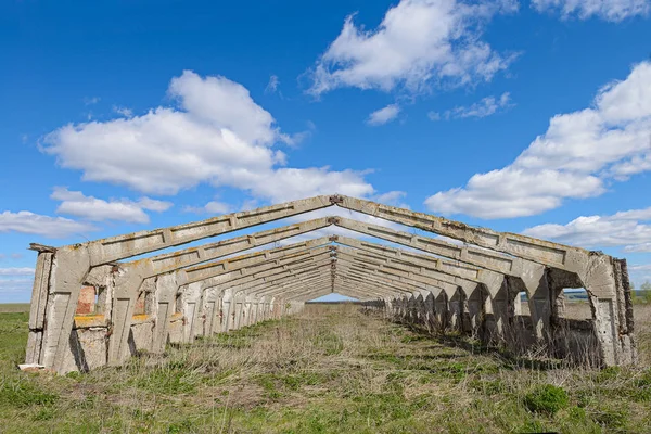 Yeşil Yaz sahada terk edilmiş eski bir binada çerçeve