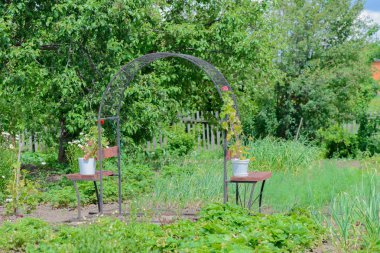 Dekoratif arch ile yeşil çiçek açması meyve bahçesi