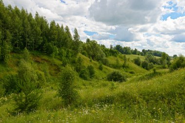 Bir yaz gününde Tepesi üzerinde yeşil orman