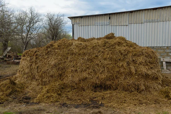 Pile of manure in front of a barn — Stock Photo, Image