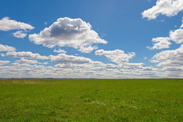 Grönt fält med blå himmel med moln — Stockfoto