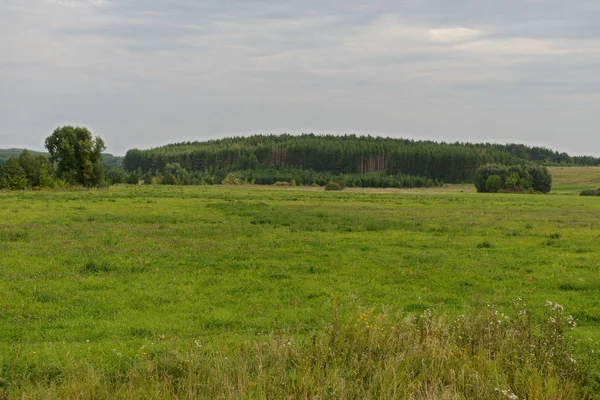 yeşil bir alan ve bir orman bir tepe üzerinde yaz yatay