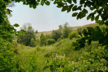ağaç ve yaprak çerçeve aracılığıyla bir tepe yaz manzara