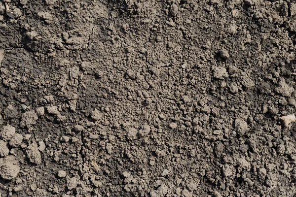 肥沃な湿った土壌のテクスチャ。上からの眺め — ストック写真
