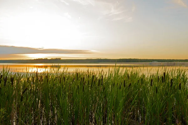 Gölün su yüzeyinden yaz akşamı manzarası