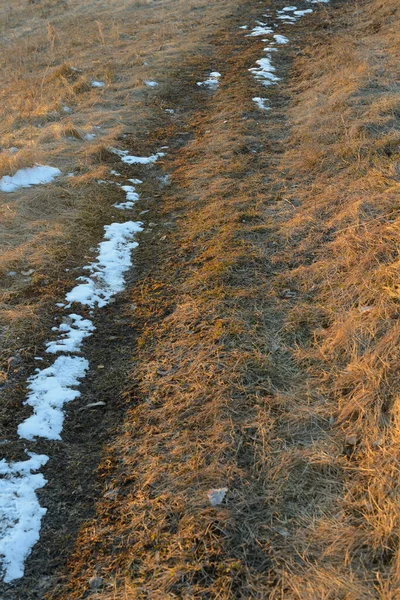 Passo Passo Chão Com Grama Seca Neve — Fotografia de Stock