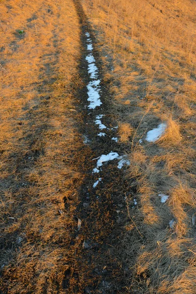 Passo Passo Chão Com Grama Seca Neve — Fotografia de Stock