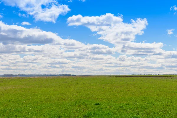 Sommarlandskap Med Grönt Fält Och Blå Himmel Med Moln — Stockfoto