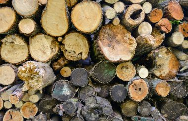 Yakacak odun yığını duvarda yığılı.