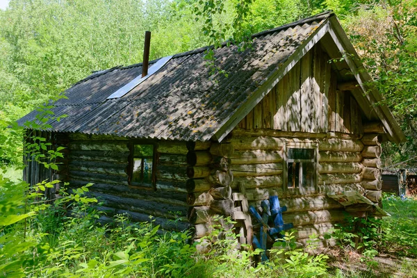 Yaz Ormanında Terk Edilmiş Eski Ahşap Bir — Stok fotoğraf