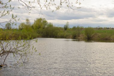 Bulutlu bir bahar gününde, bitki örtüsüyle Lakeside