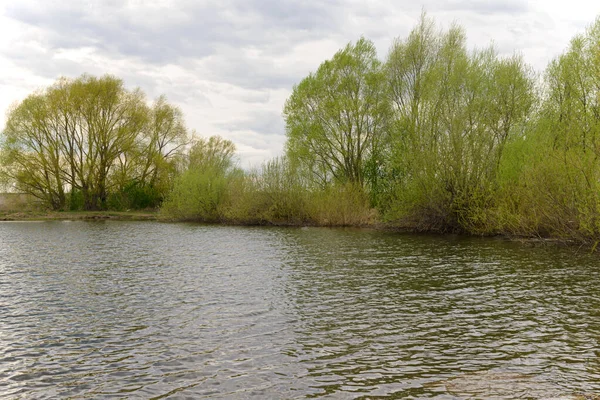 Lakeside Met Vegetatie Een Bewolkte Lentedag — Stockfoto