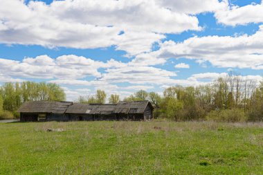 Güneşli bir günde eski bir ahşap yapının yıkıntıları ve iskeleti.