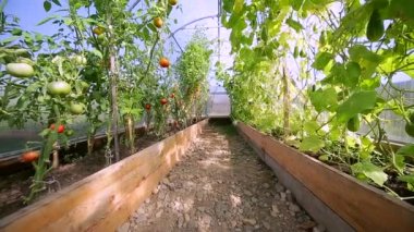 Küçük tarım sera kırkambar için