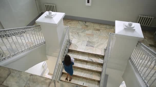 Prores. Jeune fille en robe bleue avec des documents monte les escaliers — Video