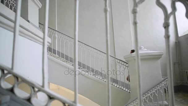 Prores. Young girl in blue dress with documents climbs the stairs — Stock Video