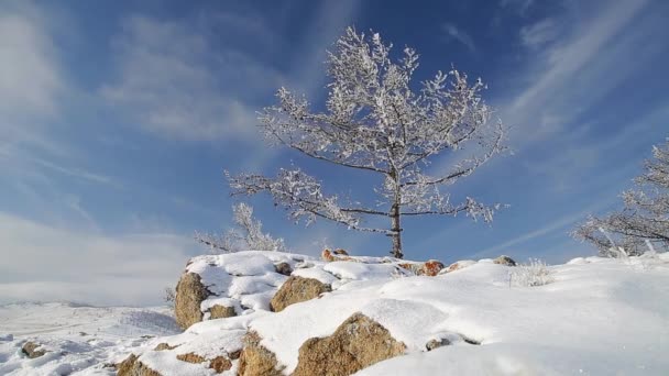Codec Prores. Inverno. Le rocce del lago Baikal sono ricoperte di ghiaccio e neve — Video Stock
