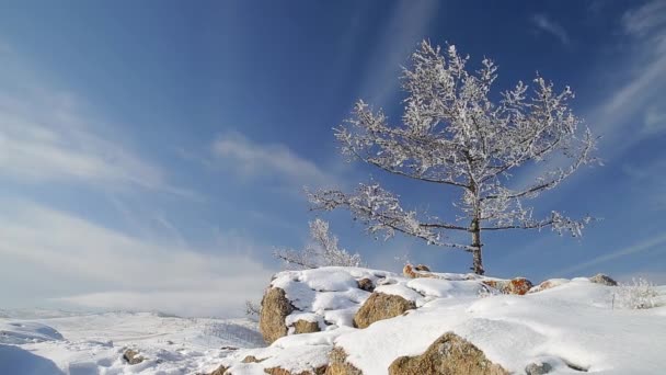Prores codec. Inverno. As rochas do Lago Baikal estão cobertas de gelo e neve — Vídeo de Stock