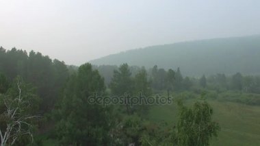 4 k. Prores codec. Hava hava video. Küçük dağ nehir ormanıyla yaz