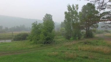 4 k. Prores codec. Hava hava video. Küçük dağ nehir ormanıyla yaz