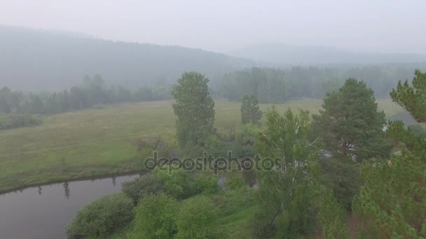 4K. Prores codec. Video udara dari udara. Hutan musim panas dengan sebuah sungai pegunungan kecil — Stok Video