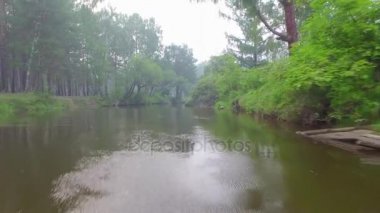 4 k. Prores codec. Hava hava video. Küçük dağ nehir ormanıyla yaz