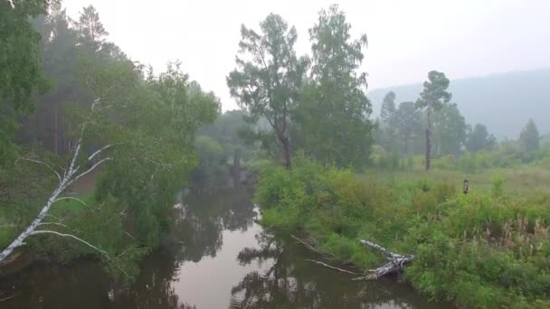 4K. Prores codec. Video udara dari udara. Hutan musim panas dengan sebuah sungai pegunungan kecil — Stok Video