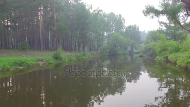 4 k. Prores kodek. Video ze vzduchu. Letní les s malým horská řeka — Stock video