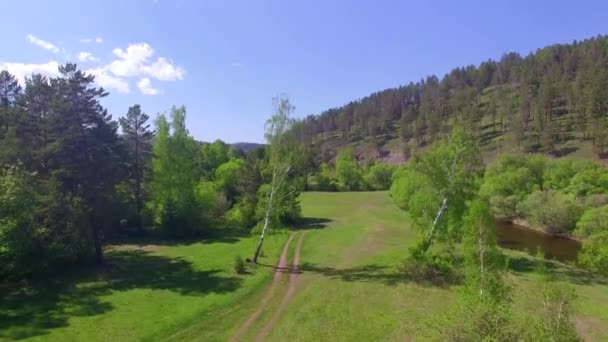 4K. Prores codec. Vídeo aéreo do ar. Floresta de verão com um pequeno rio de montanha — Vídeo de Stock