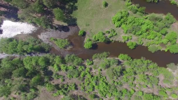 4k. Prores Codec. Luftaufnahmen aus der Luft. Sommerwald mit einem kleinen Gebirgsfluss — Stockvideo