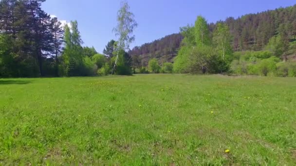 4K. Códec de Prores. Vídeo aéreo desde el aire. Bosque de verano con un pequeño río de montaña — Vídeo de stock