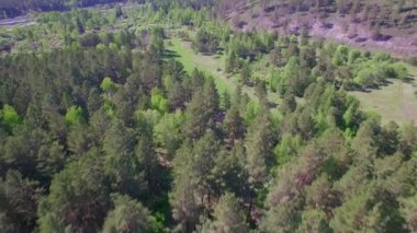 4 k. Prores codec. Hava hava video. Küçük dağ nehir ormanıyla yaz