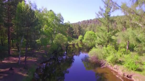 4K. Prores codec. Vidéo aérienne de l'air. Forêt estivale avec une petite rivière de montagne 