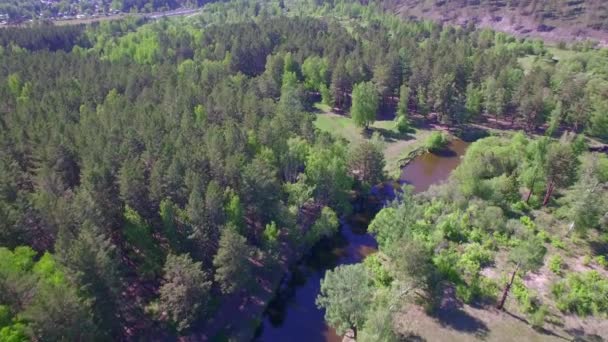 4 k. Prores コーデック。上空から空撮。小さな山川と夏の森 — ストック動画