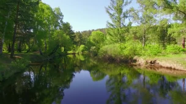 4K. Codec Prores. Un video aereo dall'alto. Foresta estiva con un piccolo fiume di montagna — Video Stock