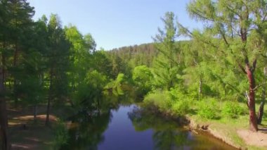 4 k. Prores codec. Hava hava video. Küçük dağ nehir ormanıyla yaz