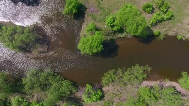 4K. Prores codec. Aerial video from the air. Summer forest with a small mountain river — Stock Video