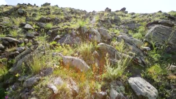 Stone Maansteen op het eiland van Olkhon. Het Baikalmeer — Stockvideo