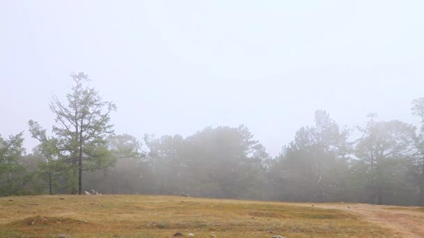 Nebel auf der Insel Olchon. Baikalsee — Stockvideo